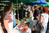 В Балакове прошел Первый «Фестиваль клубники»