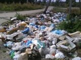 Кто организует в нашем городе мусорные свалки?