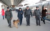 Сегодня День транспортной полиции России